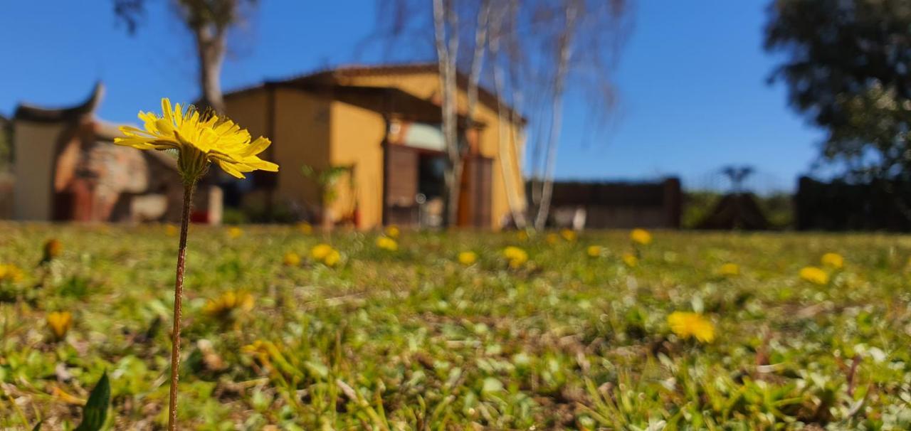 Masia Can Bachs Sant Pere de Vilamajor Zewnętrze zdjęcie